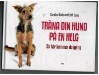 Tr&auml;na din hund p&aring; en helg