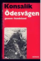 &Ouml;desv&auml;gen genom fiendeland