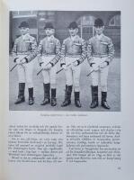 En bok om h&auml;star