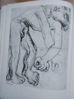 Carl Fredrik Hill : sjukdoms&aring;rens konst