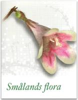 Sm&aring;lands flora, band 1