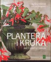 Plantera i kruka
