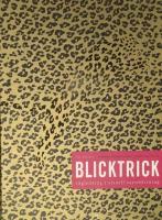 Blicktrick : v&auml;gledning i visuell varseblivning