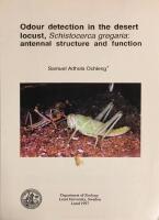 Odour detection in the desert locust, Schistocerca gregaria, antennal structure and function