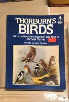 Thorburn's birds
