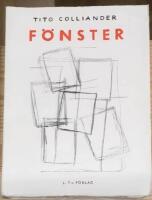 F&ouml;nster - noveller i urval