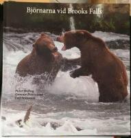 Bj&ouml;rnarna vid Brooks Fall