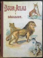 Djur-Atlas f&ouml;r barn och ungdom