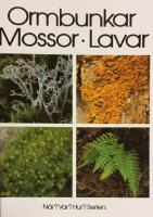 Ormbunkar,Mossor,Lavar