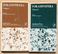 Foraminifera 1-2