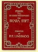 F&ouml;rs&ouml;k till en korrt beskrifning om Skara stift