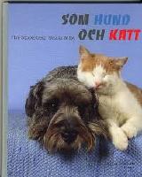 Som Hund Och Katt