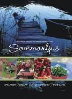 Sommarljus sallader, grillat, kakor, drycker, tr&auml;dg&aring;rd