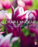L&ouml;kar & Kn&ouml;lar