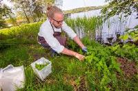 Gr&ouml;nare, vildare, smartare