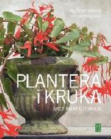 Plantera i kruka