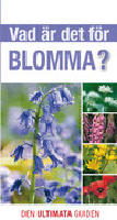 Vad &auml;r det f&ouml;r blomma?