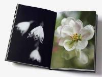 Sensus videndi  -  Att se och f&ouml;rnimma