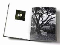 Sensus videndi  -  Att se och f&ouml;rnimma