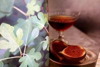 Sensus videndi  -  Att se och f&ouml;rnimma