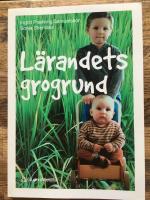 L&auml;randets grogrund : perspektiv och f&ouml;rh&aring;llningss&auml;tt i f&ouml;rskolans l&auml;roplan