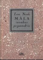 M&aring;la inomhus p&aring; gammalt vis