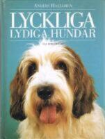 Lyckliga lydiga hundar