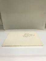 &Aring; nei for en v&aring;r - Blomster i tegninger og dikt