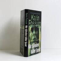 N&auml;r dj&auml;vulen h&aring;ller ljuset - Konrad Sejer - Bok 4