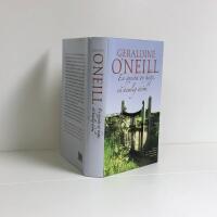 En gnista av hopp, en hemlig dr&ouml;m : roman