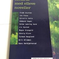 Heim att til 1990-&aring;ra: elleve forfattarar med elleve noveller