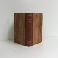 Rebellerna 2: Staden vid havet