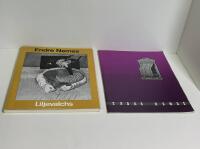 Endre Nemes: retrospektiv utst&auml;llning 1926-1972