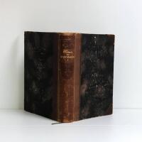 Das Urchristentum seine Schriften und Lehren