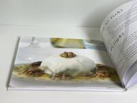 Viaggiatori Di Gusto/Traveller Gourmet