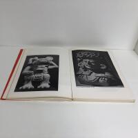 Mexikanske Mestervaerker - Mexikanske mesterv&aelig;rker