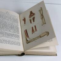 Frakturen und Luxationen. Lehmanns Medizinische Handatlanten Band 8