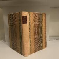 Gryning &ouml;ver djungel