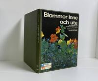 Blommor inne och ute