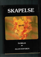 Skapelse