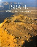 Resa genom Israel : m&ouml;tesplats och mosaik