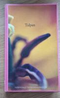 Tulpan 