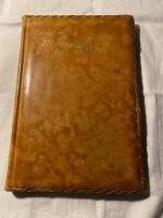 Med tranorna till Afrika