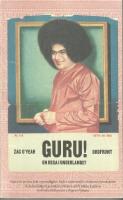 Guru! : en resa i underlandet