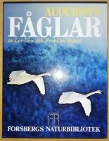 Audubon's f&aring;glar