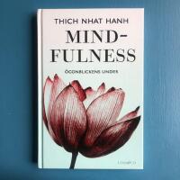 Mindfulness : &ouml;gonblickens under