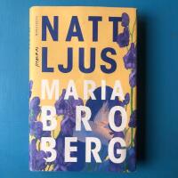 Nattljus