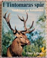 I Tintomaras sp&aring;r : Vandringar p&aring; Kolm&aring;rden