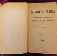 &Ouml;stg&ouml;ta Flora - Beskrivning &ouml;ver &Ouml;sterg&ouml;tlands Fanerogamer och ormbunkar-