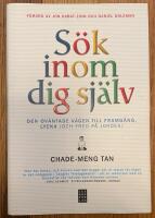 S&ouml;k inom dig sj&auml;lv : den ov&auml;ntade v&auml;gen till framg&aring;ng lycka (och fred p&aring; jorden)